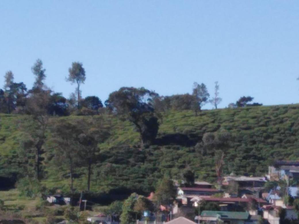 Frosty Heaven Guest House Nuwara Eliya Eksteriør bilde